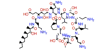 Homophymine E